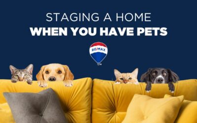 Staging A Home With Pets