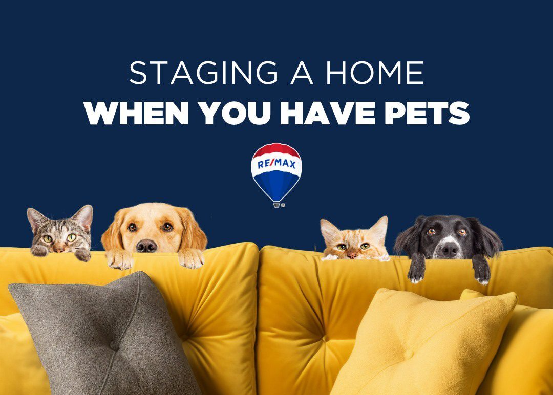 Staging A Home With Pets – Social Media Cover Photo